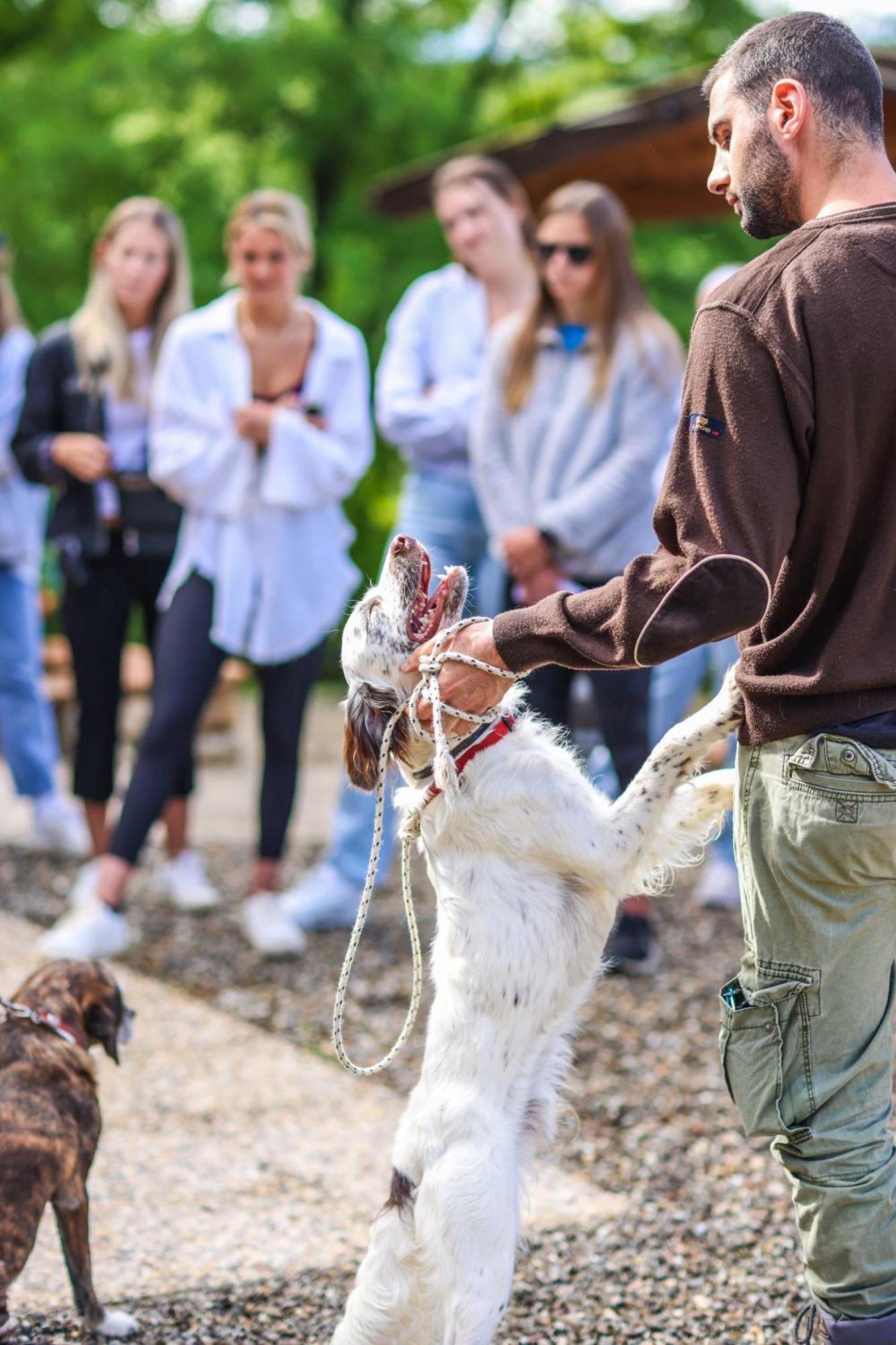 Bio-Agriturismo La Ginestra San Casciano in Val di Pesa Eksteriør bilde